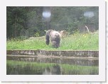 Dierentuin Burgers  Zoo 108 * 3648 x 2736 * (4.97MB)